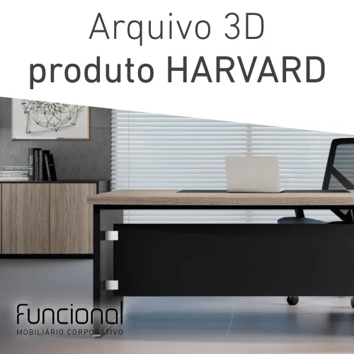 Arquivo 3D Individual